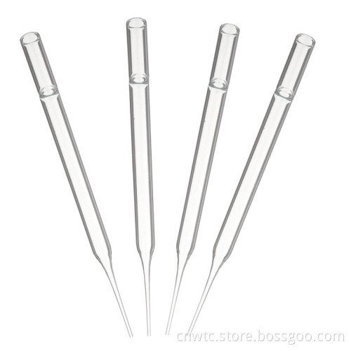 Disposable Borosilicate Glass Pasteur Pipettes for Laboratory Use